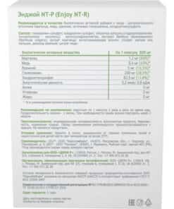 Энджой НТ Р Вижн