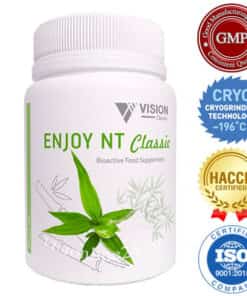 Энджой NT Визион Классика Европа