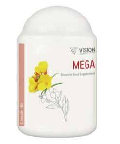 Мега Визион