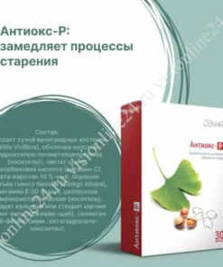 Антиокс-Р Vision DEM4R