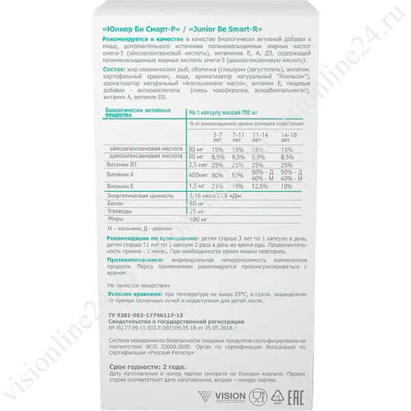 Би Смарт-Р инструкция Визион DEM4R