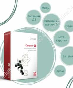 Сеньор-Р цена ДЕМ4Р Визион