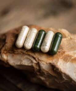 Синхровитал IV Siberian Wellness