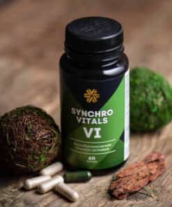 Синхровитал 4 Сибирское Здоровье