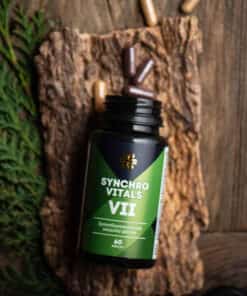 Синхровитал VII Siberian Wellness