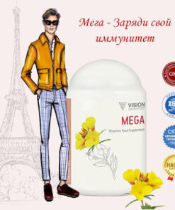 Мега Визион Франция